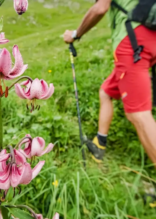 Wandern im Lechtal – Naturgenuß