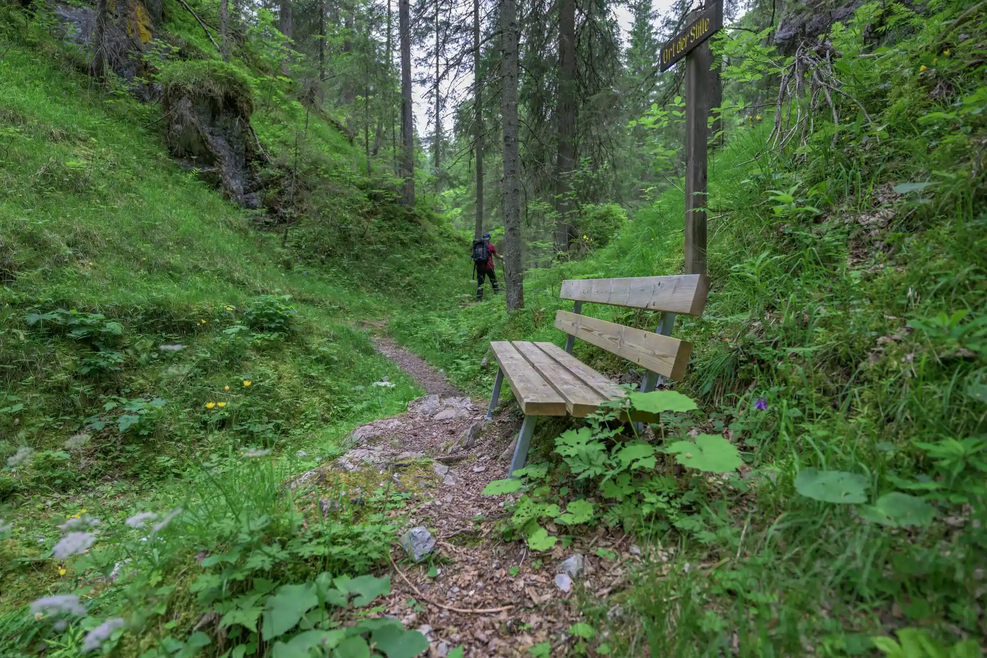 Quiet forest path with a bench on the sensory trail in the Lechtal