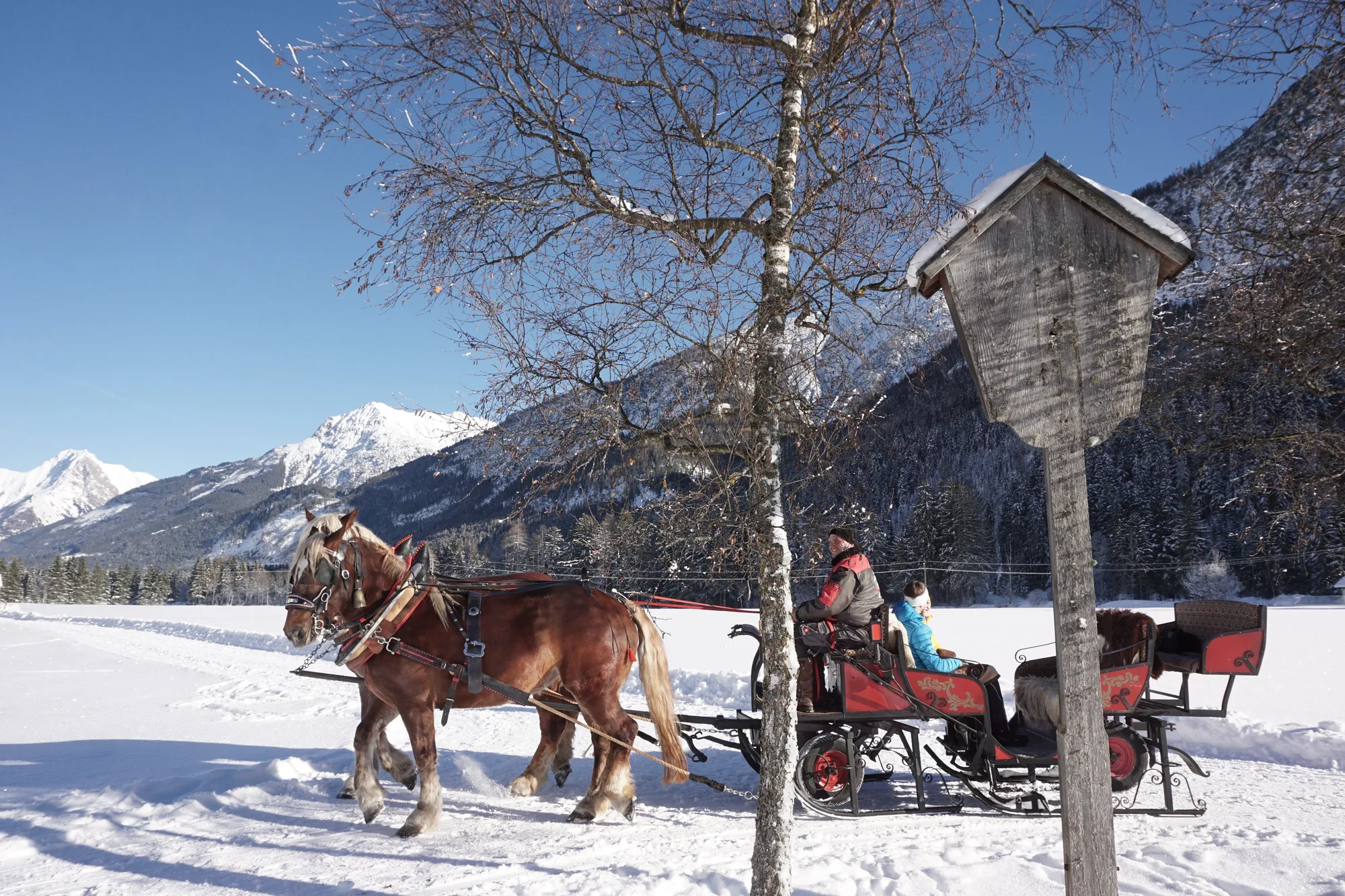 Pferdeschlittenfahrt durch die Winterlandschaft